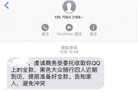 大庆为什么选择专业追讨公司来处理您的债务纠纷？